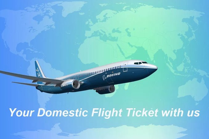 1504170469 domestic flight booking service